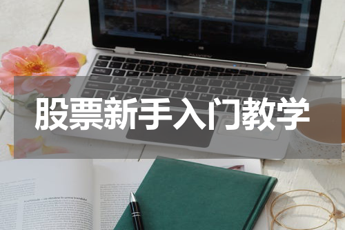 股票新手入门教学