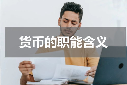 货币的职能含义