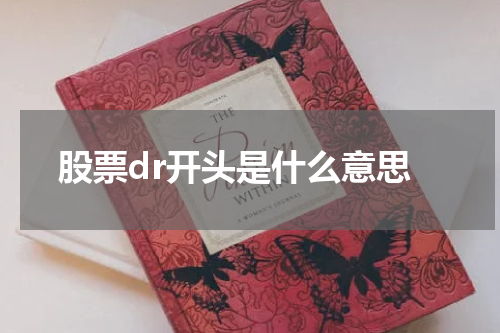 股票dr开头是什么意思