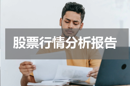 股票行情分析报告