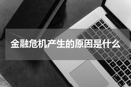 金融危机产生的原因是什么