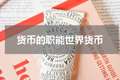 货币的职能世界货币