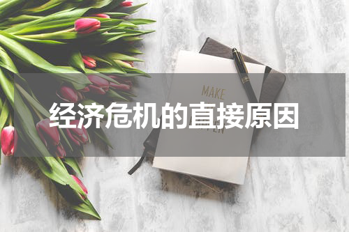 经济危机的直接原因
