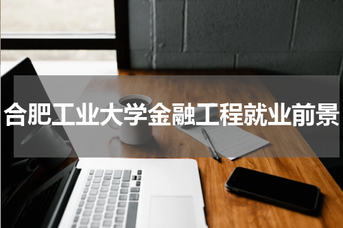 合肥工业大学金融工程就业前景