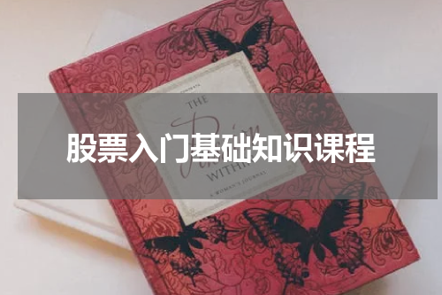 股票入门基础知识课程