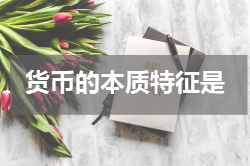 货币的本质特征是
