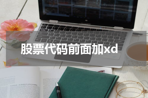 股票代码前面加xd
