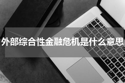 外部综合性金融危机是什么意思
