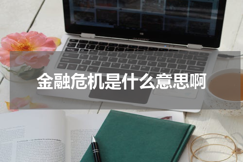 金融危机是什么意思啊