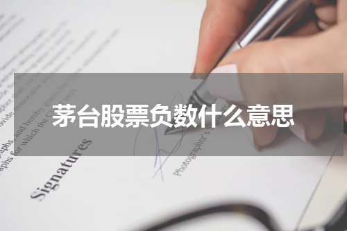 茅台股票负数什么意思