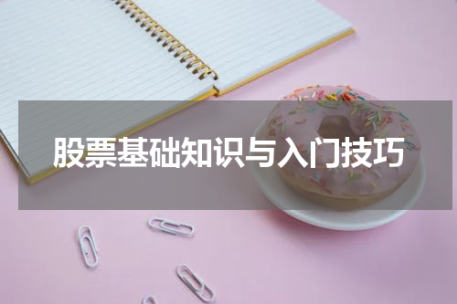股票基础知识与入门技巧