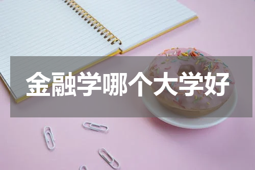 金融学哪个大学好