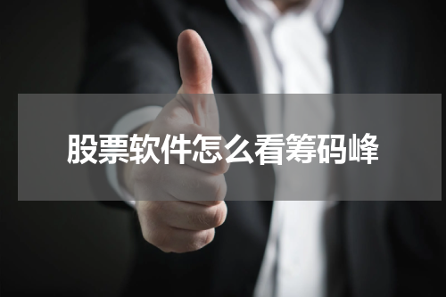 股票软件怎么看筹码峰