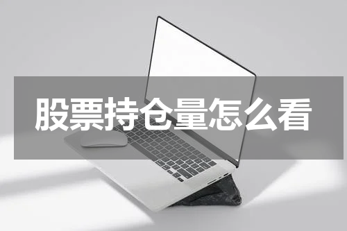 股票持仓量怎么看