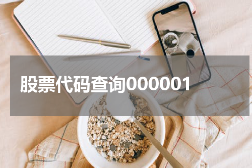 股票代码查询000001