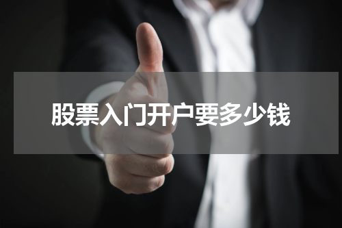 股票入门开户要多少钱