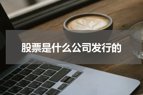 股票是什么公司发行的