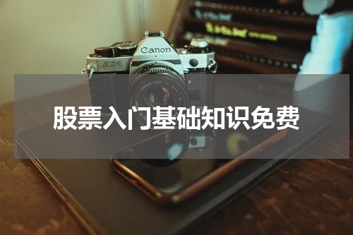 股票入门基础知识免费