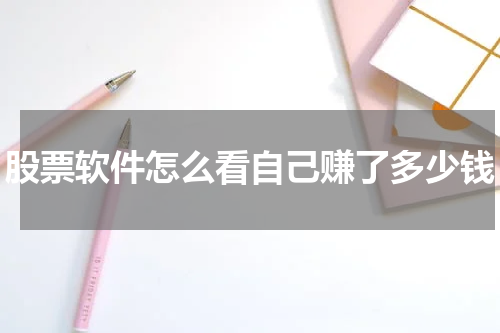 股票软件怎么看自己赚了多少钱