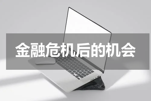 金融危机后的机会