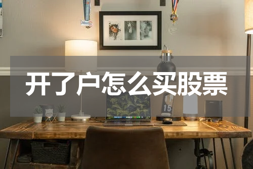 开了户怎么买股票