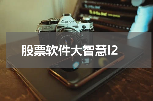 股票软件大智慧l2