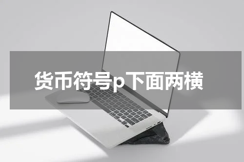 货币符号p下面两横