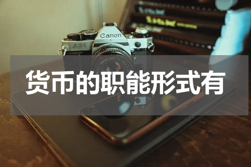 货币的职能形式有