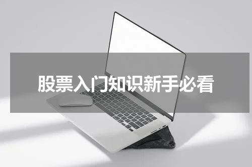 股票入门知识新手必看