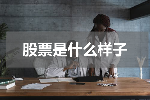 股票是什么样子
