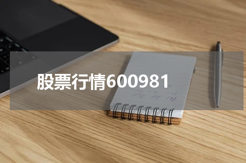 股票行情600981
