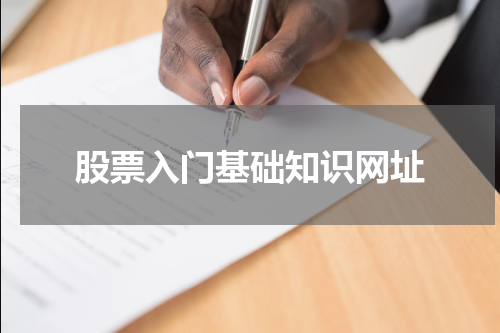 股票入门基础知识网址