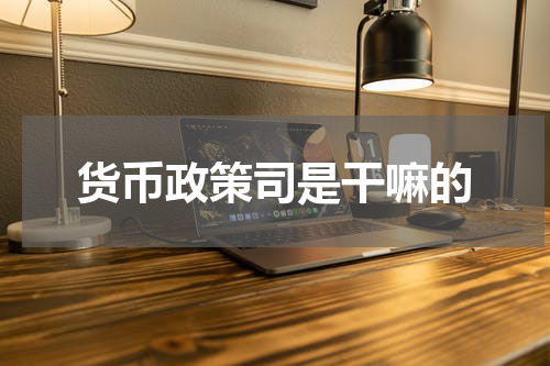 货币政策司是干嘛的