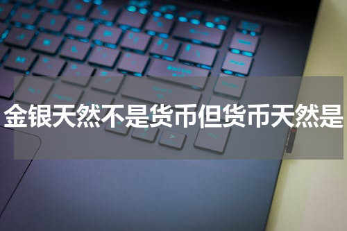 金银天然不是货币但货币天然是