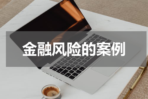 金融风险的案例