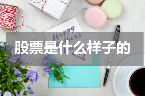 股票是什么样子的