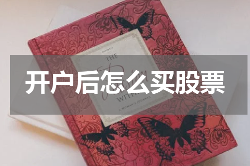 开户后怎么买股票