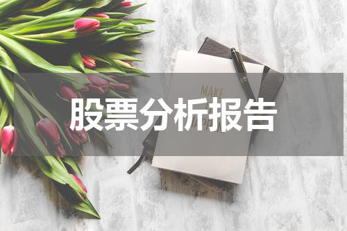 股票分析报告