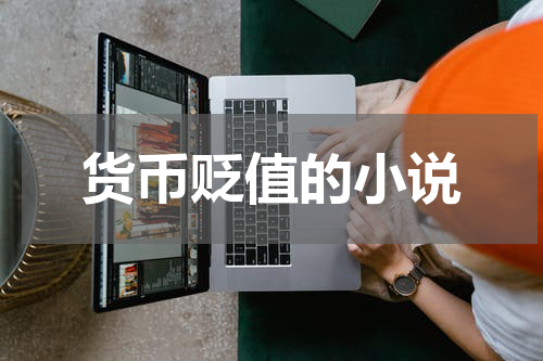 货币贬值的小说