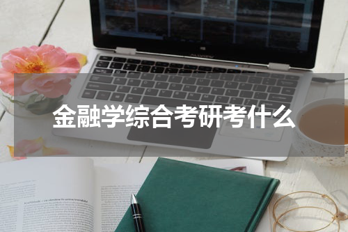 金融学综合考研考什么