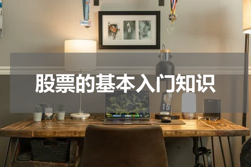 股票的基本入门知识
