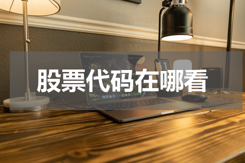 股票代码在哪看