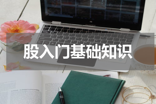 股入门基础知识