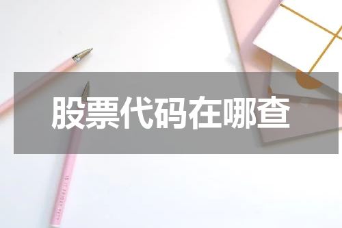 股票代码在哪查