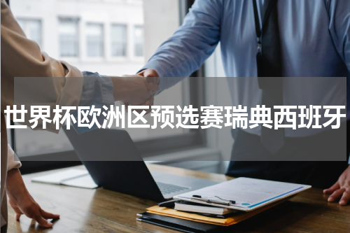 世界杯欧洲区预选赛瑞典西班牙
