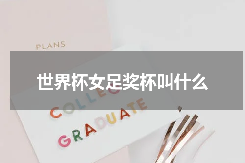 世界杯女足奖杯叫什么