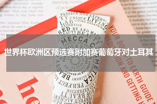 世界杯欧洲区预选赛附加赛葡萄牙对土耳其