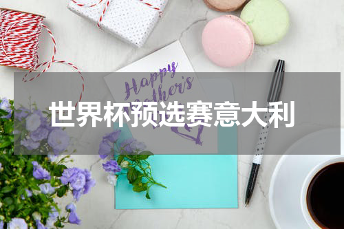 世界杯预选赛意大利