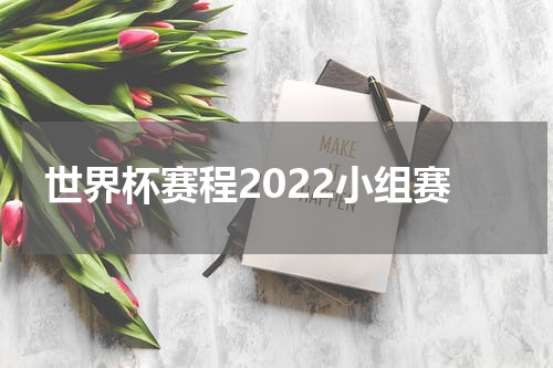 世界杯赛程2022小组赛