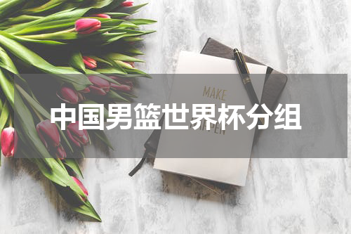 中国男篮世界杯分组